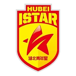 湖北青年星U20