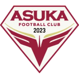 飞鸟FC